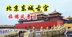 操亚洲美女屄屄视频中国北京-东城古宫旅游风景区